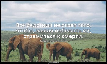 Все бедствия не стоят того, чтобы, желая избежать их, стремиться к смерти. — Мишель де Монтень