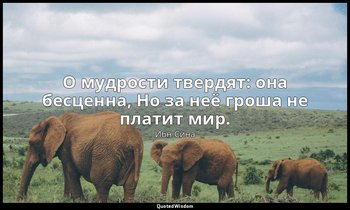 О мудрости твердят: она бесценна, Но за неё гроша не платит мир. — Ибн Сина