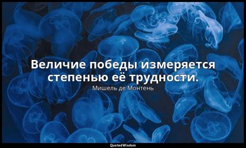 Величие победы измеряется степенью её трудности. — Мишель де Монтень