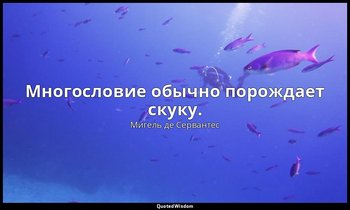 Многословие обычно порождает скуку. — Мигель де Сервантес