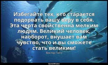 Избегайте тех, кто старается подорвать вашу веру в себя. Эта черта свойственна м — Виктор Гюго