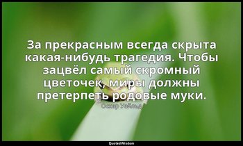 За прекрасным всегда скрыта какая-нибудь трагедия. Чтобы зацвёл самый скромный ц — Оскар Уайльд