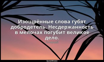 Изощрённые слова губят добродетель. Несдержанность в мелочах погубит великое дел — Конфуций