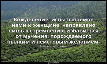 Вожделение, испытываемое нами к женщине, направлено лишь к стремлению избавиться — Мишель де Монтень