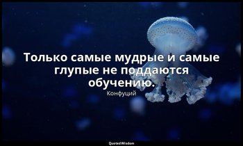 Только самые мудрые и самые глупые не поддаются обучению. — Конфуций
