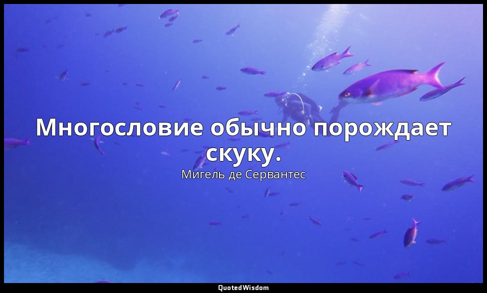 Многословие обычно порождает скуку. — Мигель де Сервантес