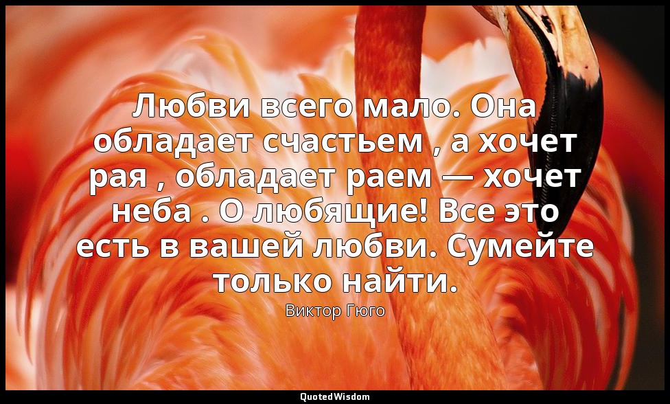 Любви всего мало. Она обладает счастьем , а хочет рая , обладает раем — хочет не — Виктор Гюго
