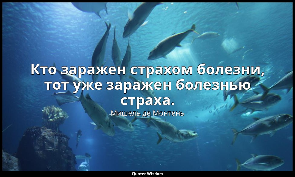 Кто заражен страхом болезни, тот уже заражен болезнью страха. — Мишель де Монтень