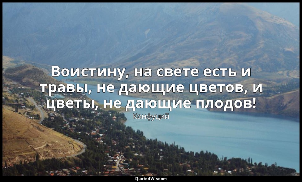 Воистину, на свете есть и травы, не дающие цветов, и цветы, не дающие плодов! — Конфуций