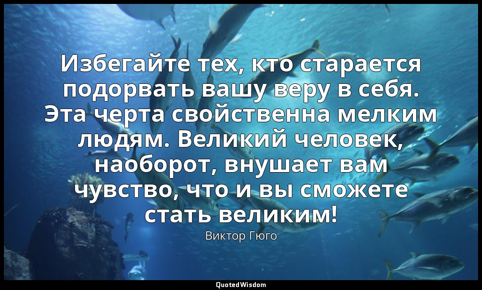 Избегайте тех, кто старается подорвать вашу веру в себя. Эта черта свойственна м — Виктор Гюго