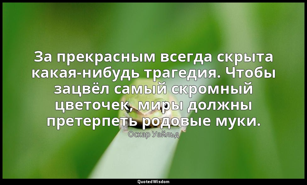 За прекрасным всегда скрыта какая-нибудь трагедия. Чтобы зацвёл самый скромный ц — Оскар Уайльд