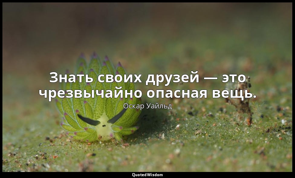 Знать своих друзей — это чрезвычайно опасная вещь. — Оскар Уайльд