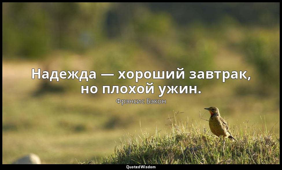 Надежда — хороший завтрак, но плохой ужин. — Фрэнсис Бэкон