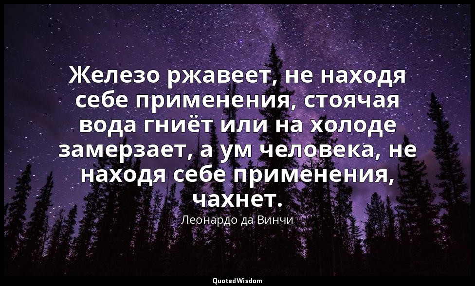 Железо ржавеет, не находя себе применения, стоячая вода гниёт или на холоде заме — Леонардо да Винчи