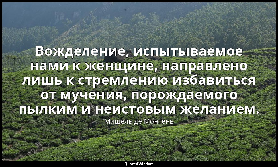 Вожделение, испытываемое нами к женщине, направлено лишь к стремлению избавиться — Мишель де Монтень