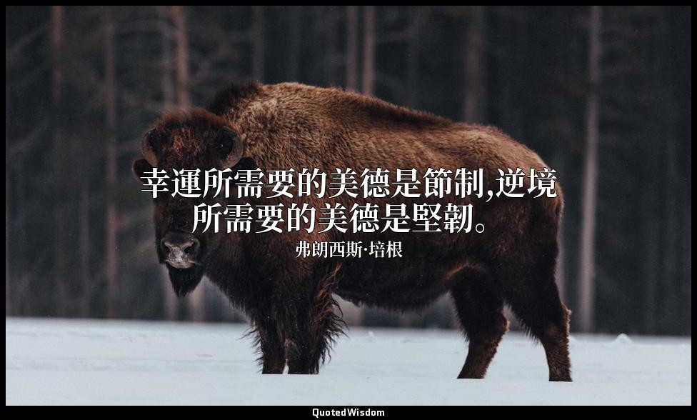 幸運所需要的美德是節制,逆境所需要的美德是堅韌。 — 弗朗西斯·培根