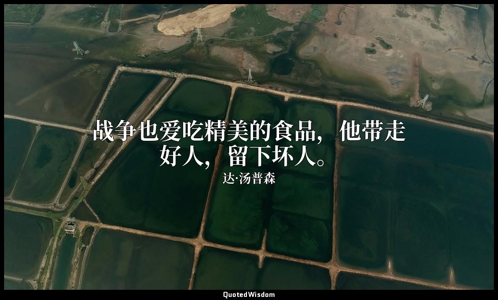 战争也爱吃精美的食品，他带走好人，留下坏人。 — 达·汤普森