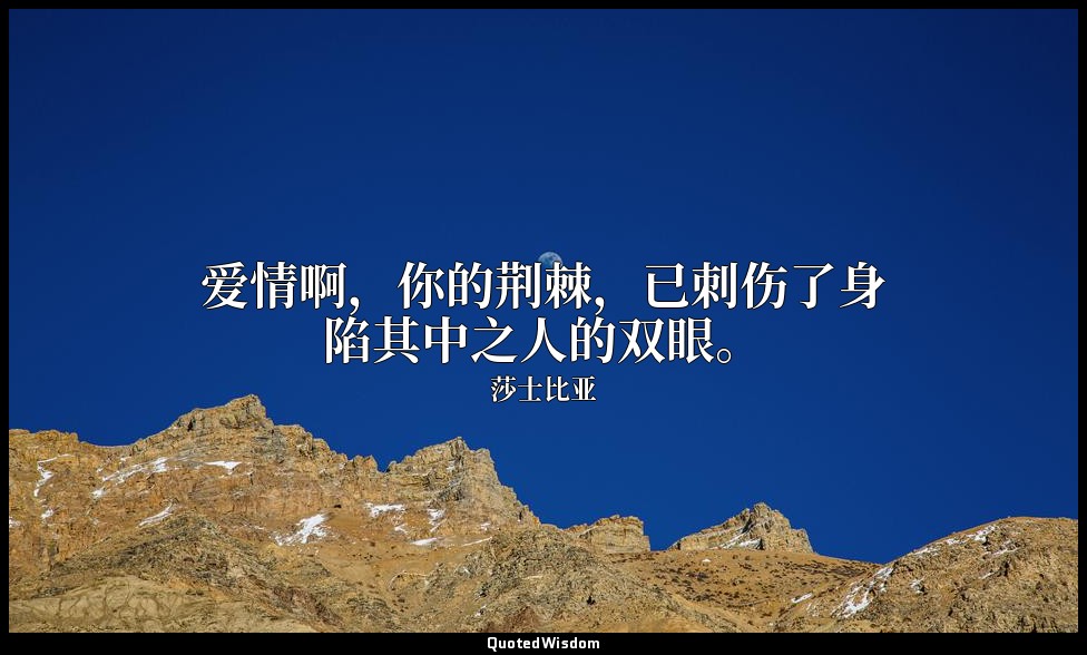 爱情啊，你的荆棘，已刺伤了身陷其中之人的双眼。 — 莎士比亚