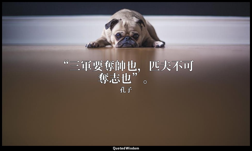 “三軍要奪帥也，匹夫不可奪志也”。 — 孔子
