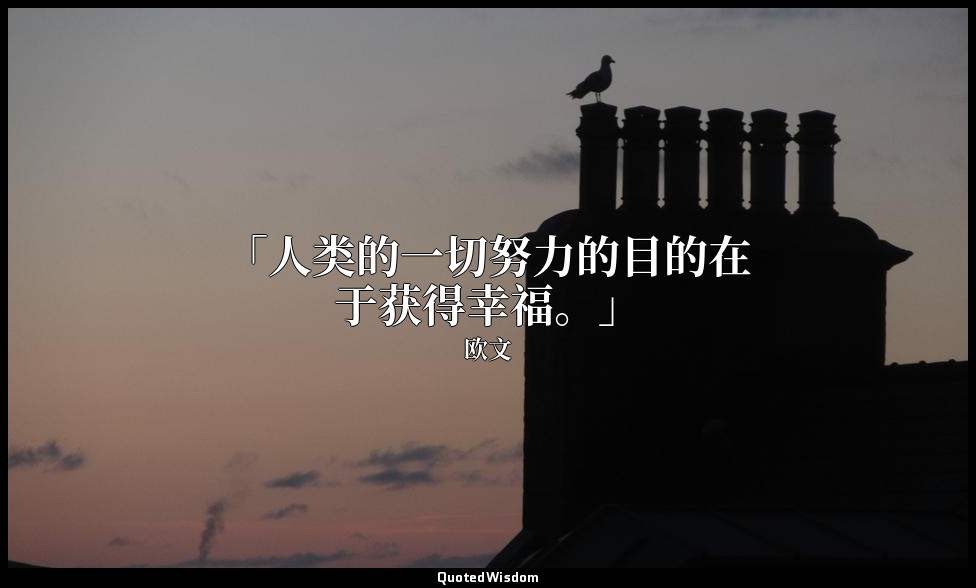 「人类的一切努力的目的在于获得幸福。」 — 欧文