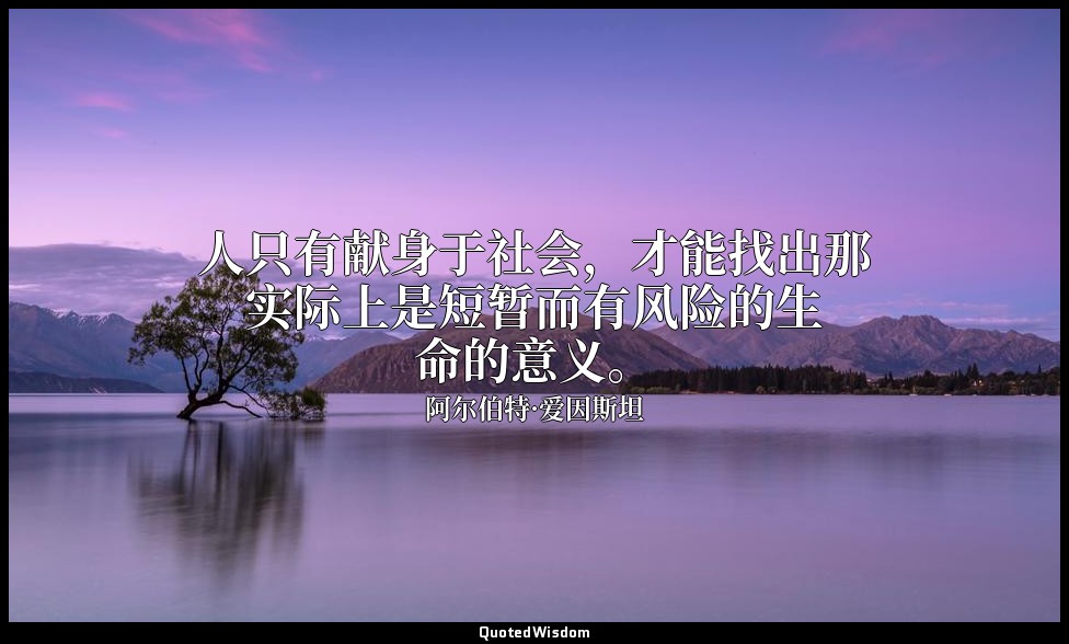 人只有献身于社会，才能找出那实际上是短暂而有风险的生命的意义。 — 阿尔伯特·爱因斯坦