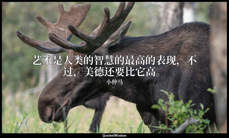 艺术是人类的智慧的最高的表现，不过，美德还要比它高。 — 小仲马