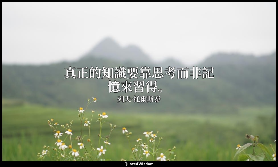 真正的知識要靠思考而非記憶來習得。 — 列夫·托爾斯泰