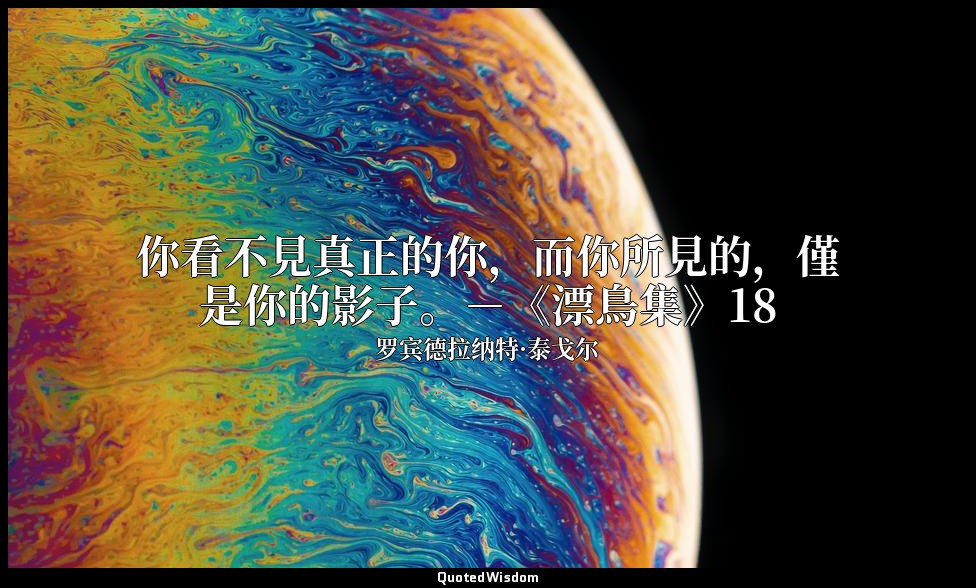 你看不見真正的你，而你所見的，僅是你的影子。－《漂鳥集》18 — 罗宾德拉纳特·泰戈尔