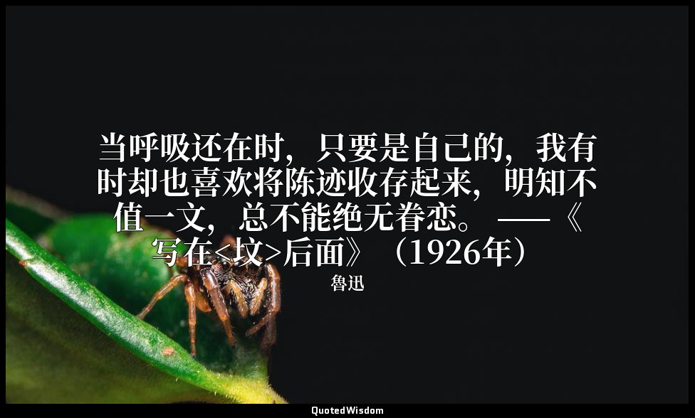 当呼吸还在时，只要是自己的，我有时却也喜欢将陈迹收存起来，明知不值一文，总不能绝无眷恋。 ——《写在<坟>后面》（1926年） — 魯迅