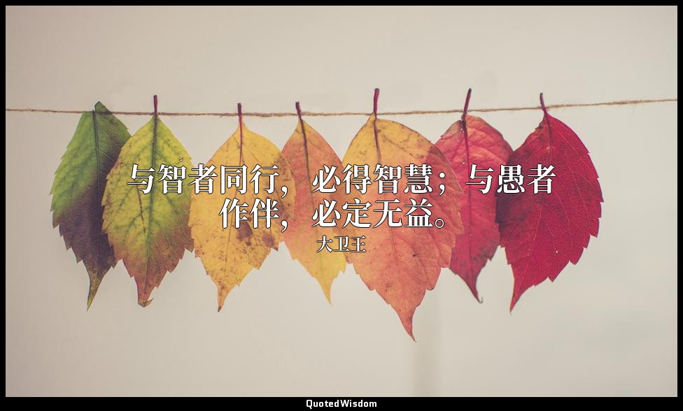 与智者同行，必得智慧；与愚者作伴，必定无益。 — 大卫王