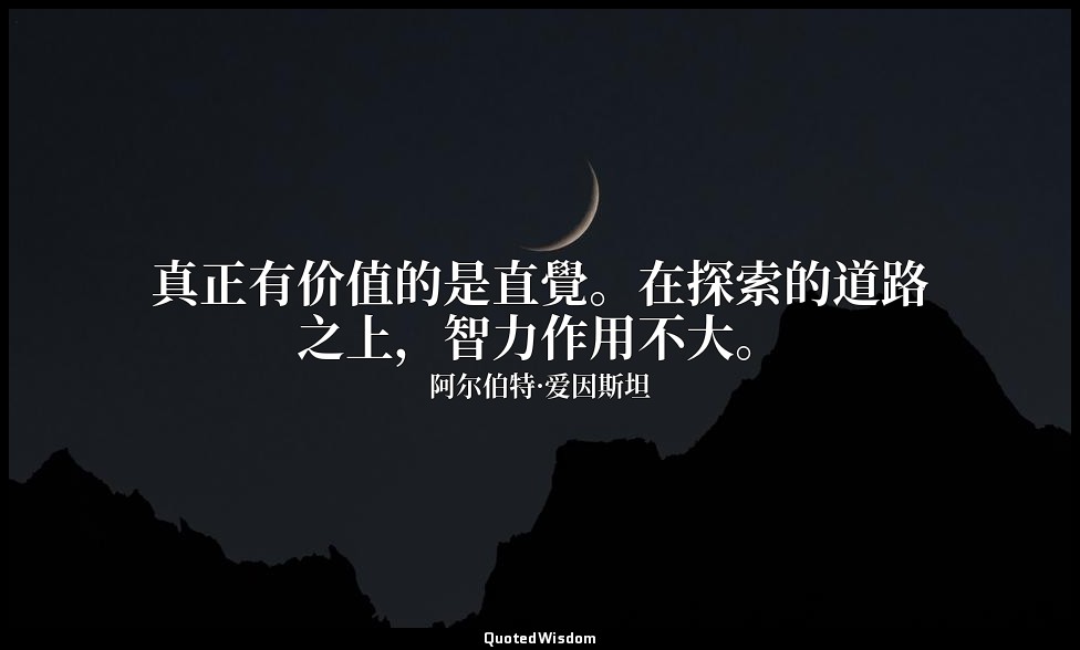 真正有价值的是直覺。在探索的道路之上，智力作用不大。 — 阿尔伯特·爱因斯坦