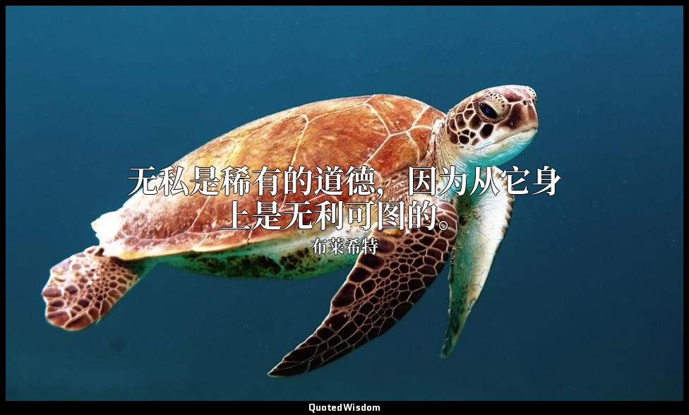 无私是稀有的道德，因为从它身上是无利可图的。 — 布莱希特