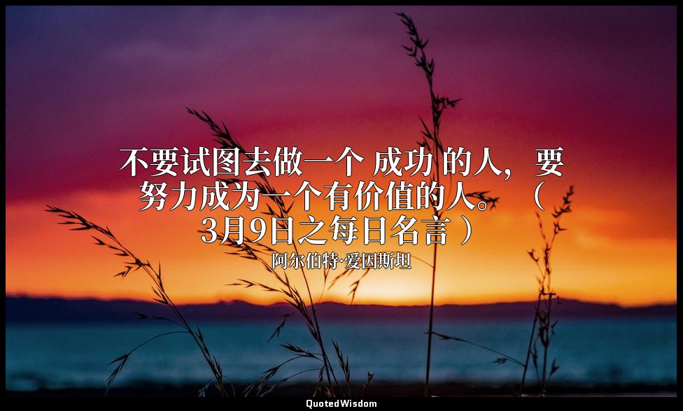 不要试图去做一个 成功 的人，要努力成为一个有价值的人。 （ 3月9日之每日名言 ） — 阿尔伯特·爱因斯坦