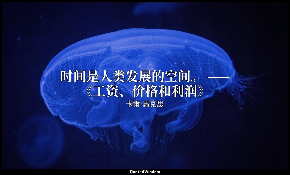 时间是人类发展的空间。 ——《工资、价格和利润》 — 卡爾·馬克思