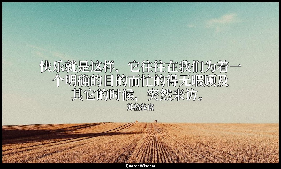 快乐就是这样，它往往在我们为着一个明确的目的而忙的得无暇顾及其它的时候，突然来访。 — 苏格拉底