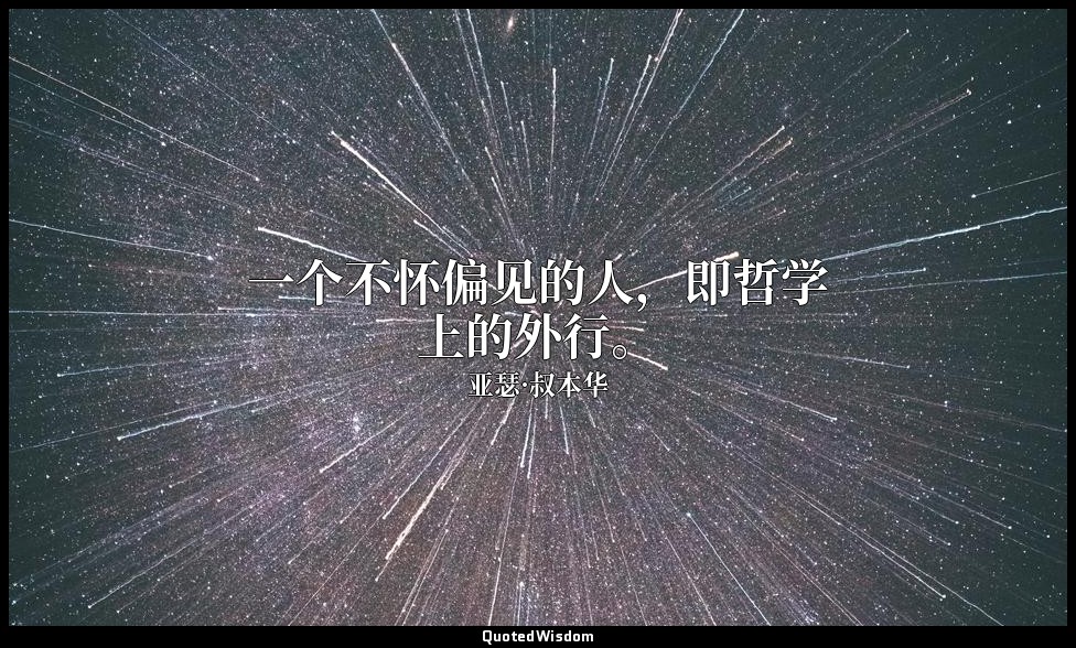一个不怀偏见的人，即哲学上的外行。 — 亚瑟·叔本华