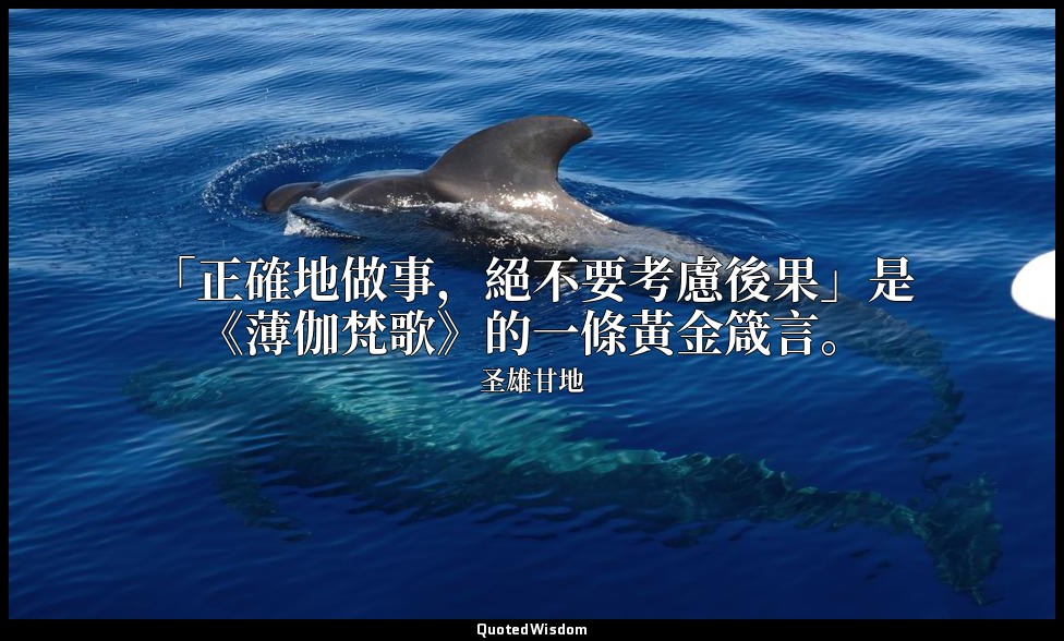 「正確地做事，絕不要考慮後果」是《薄伽梵歌》的一條黃金箴言。 — 圣雄甘地