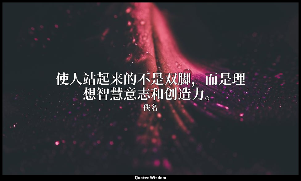 使人站起来的不是双脚，而是理想智慧意志和创造力。 — 佚名