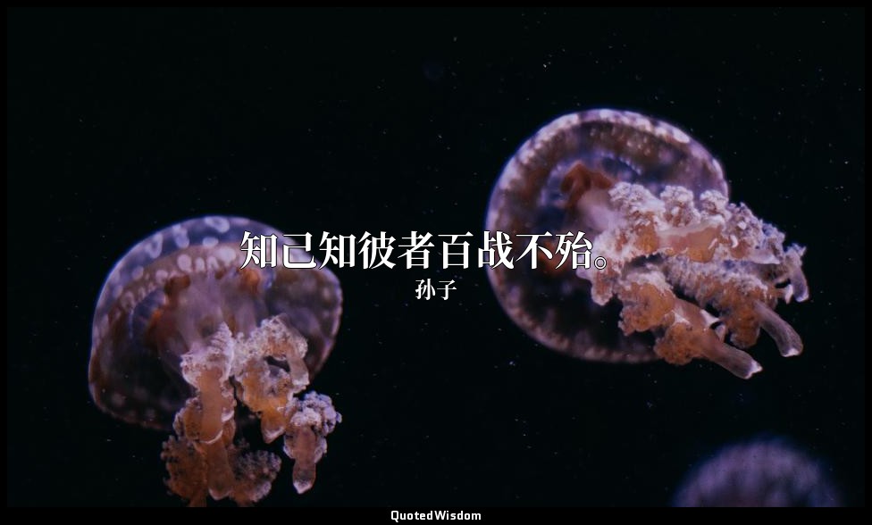 知己知彼者百战不殆。 — 孙子