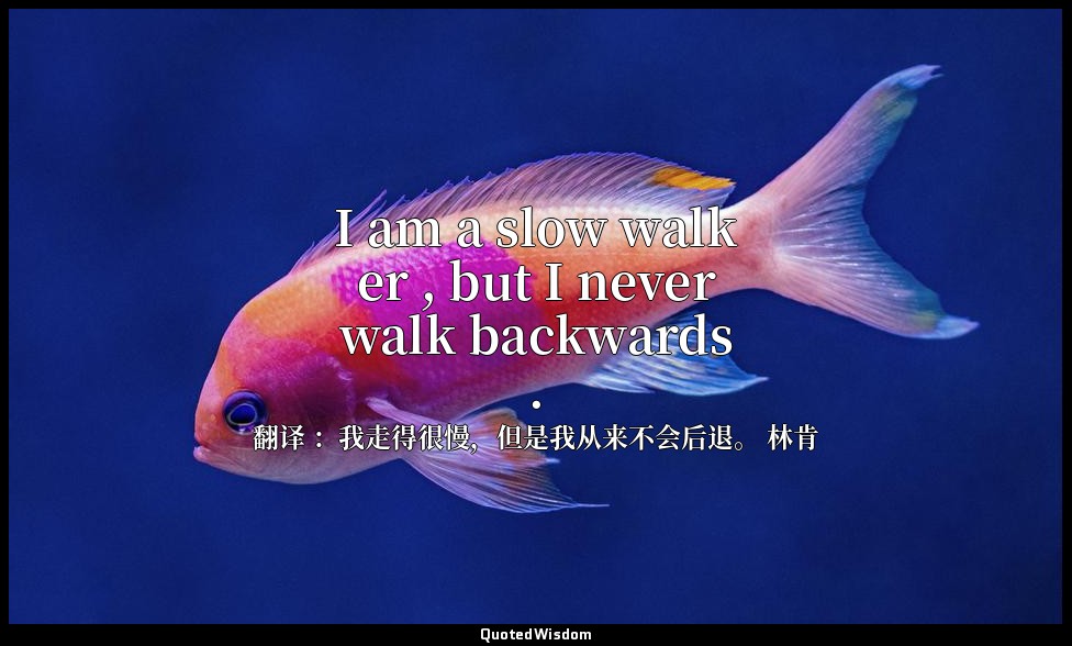 I am a slow walker , but I never walk backwards . — 翻译 ：我走得很慢，但是我从来不会后退。 林肯