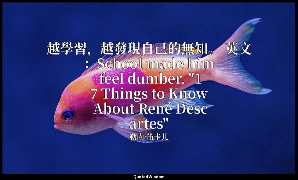 越學習，越發現自己的無知。 英文：School made him feel dumber. "17 Things to Know About René Desc — 勒内·笛卡儿