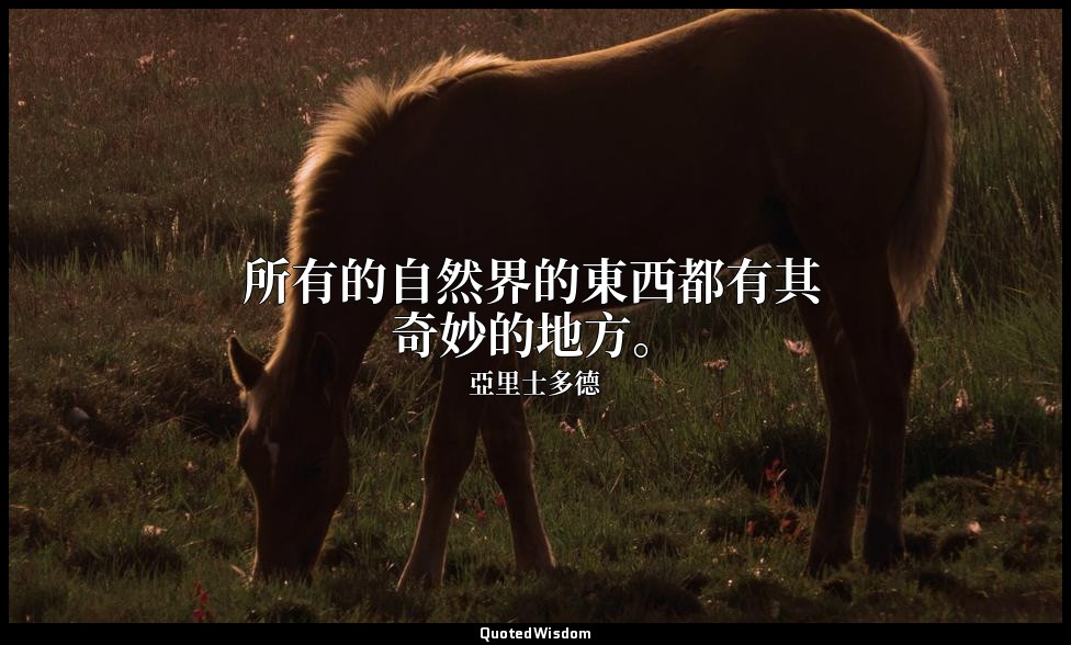 所有的自然界的東西都有其奇妙的地方。 — 亞里士多德