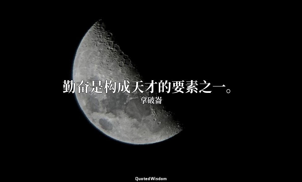 勤奋是构成天才的要素之一。 — 拿破崙