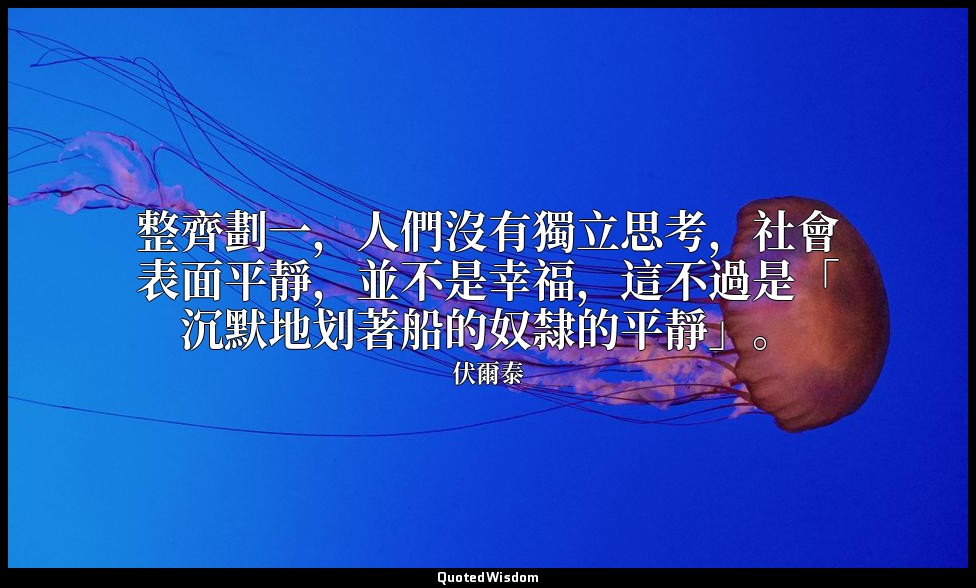 整齊劃一，人們沒有獨立思考，社會表面平靜，並不是幸福，這不過是「沉默地划著船的奴隸的平靜」。 — 伏爾泰