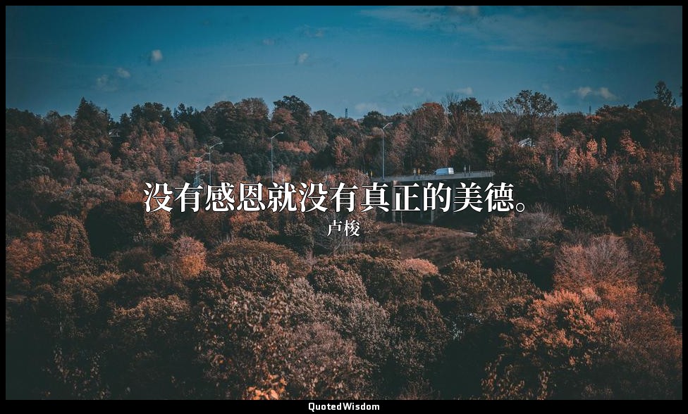 没有感恩就没有真正的美德。 — 卢梭