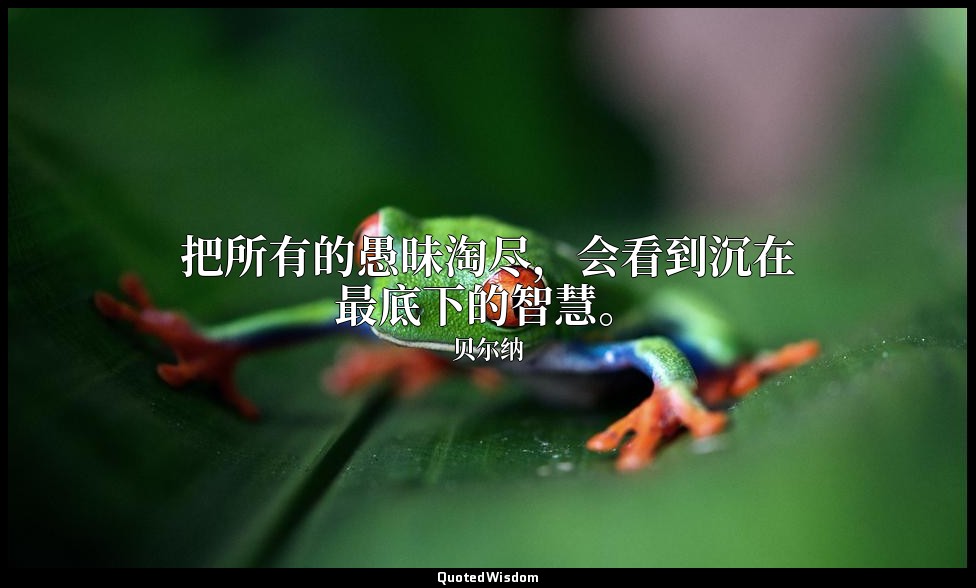 把所有的愚昧淘尽，会看到沉在最底下的智慧。 — 贝尔纳