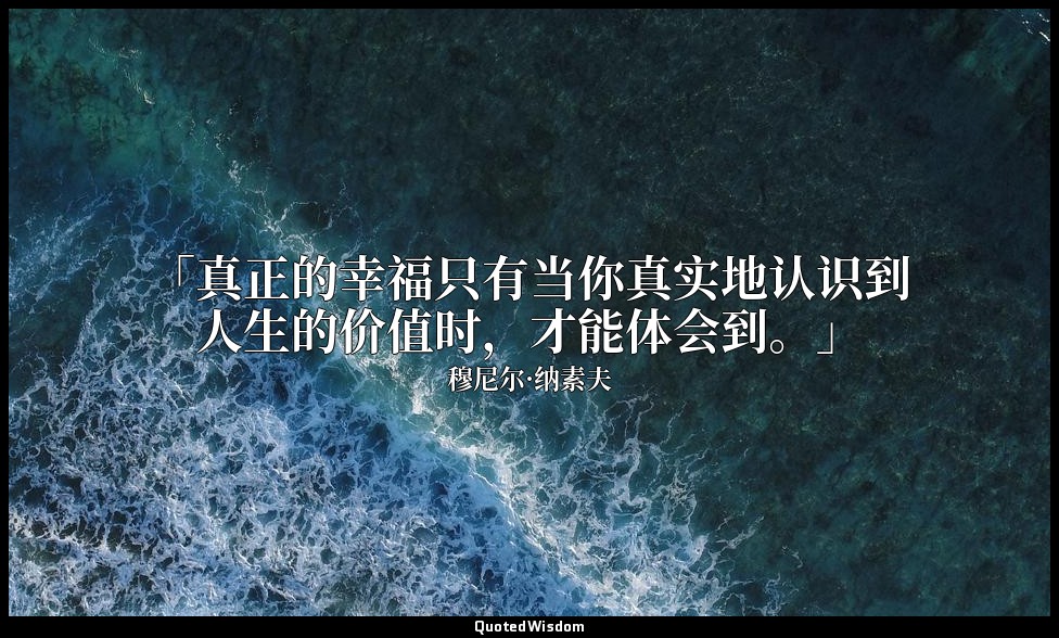 「真正的幸福只有当你真实地认识到人生的价值时，才能体会到。」 — 穆尼尔·纳素夫