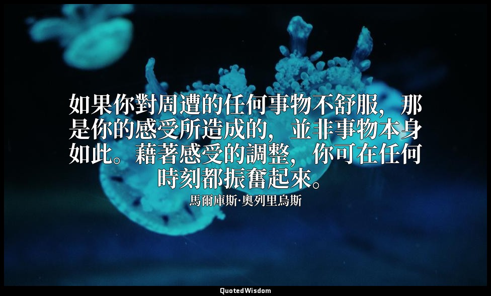 如果你對周遭的任何事物不舒服，那是你的感受所造成的，並非事物本身如此。藉著感受的調整，你可在任何時刻都振奮起來。 — 馬爾庫斯·奧列里烏斯