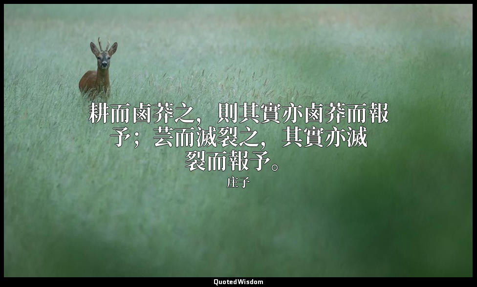耕而鹵莽之，則其實亦鹵莽而報予；芸而滅裂之，其實亦滅裂而報予。 — 庄子