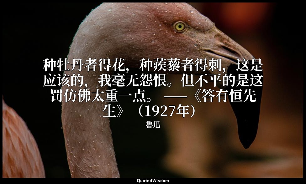 种牡丹者得花，种蒺藜者得刺，这是应该的，我毫无怨恨。但不平的是这罚仿佛太重一点。 ——《答有恒先生》（1927年） — 魯迅